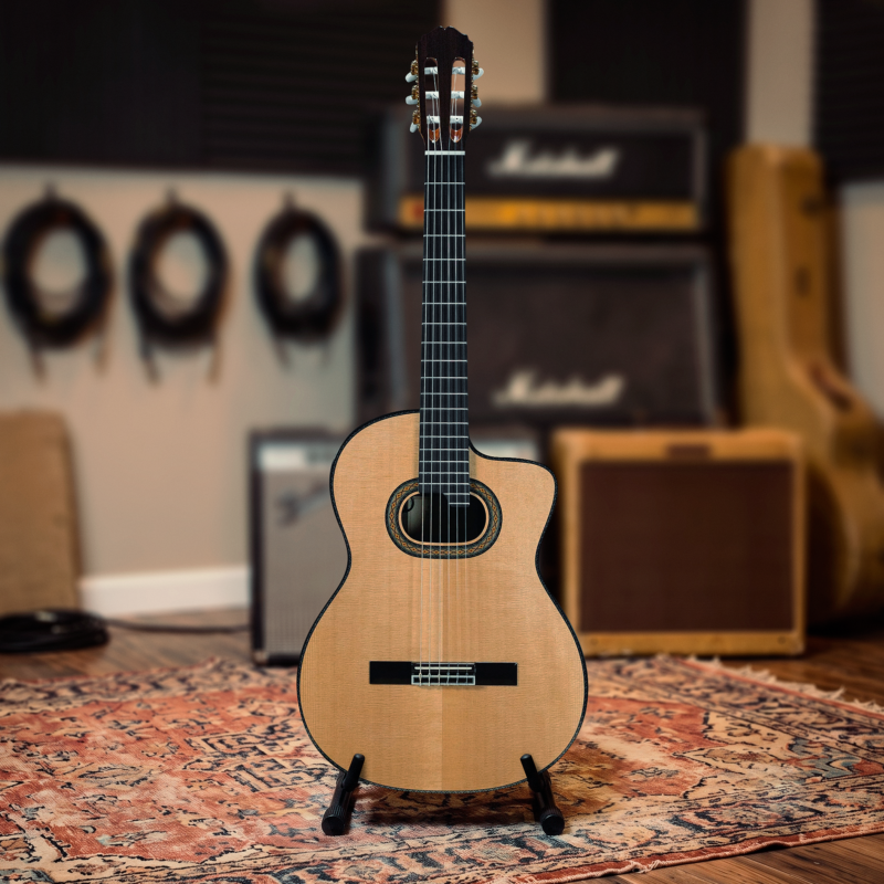 TAKAMINE DH90