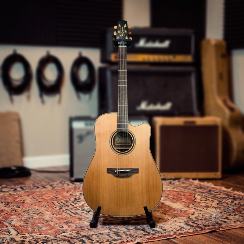 TAKAMINE PD3C