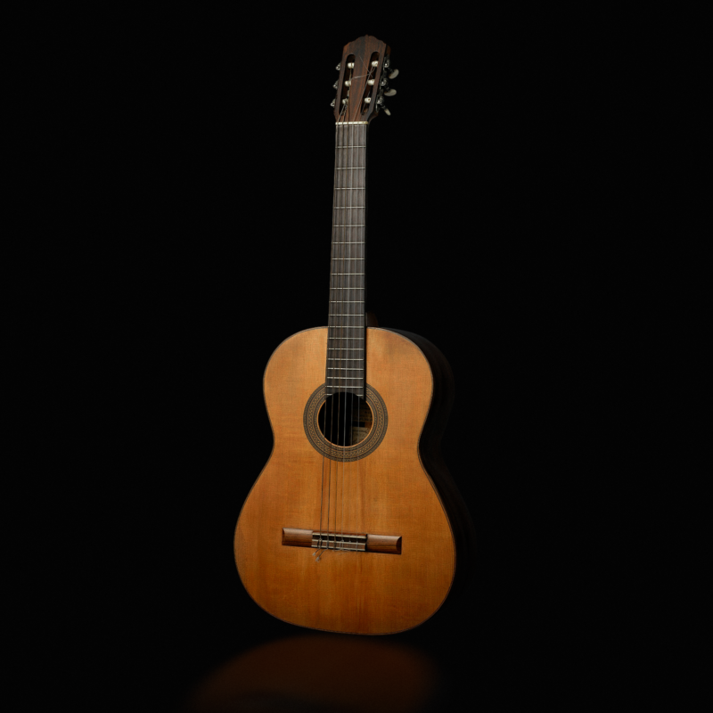 CLASSICAL NYLON STUDIO PROFILES (NAM A2)